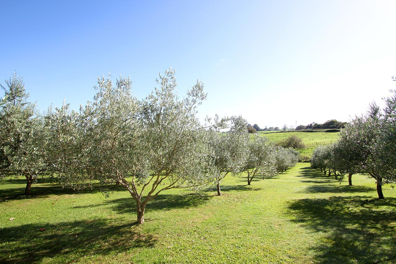Bed and Breakfast Ohaupo Olives Zewnętrze zdjęcie