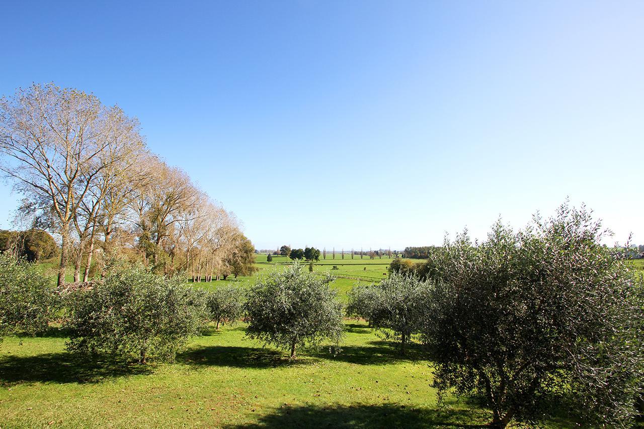 Bed and Breakfast Ohaupo Olives Zewnętrze zdjęcie